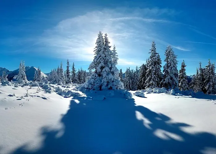 Ridehouse Bed & Breakfast *