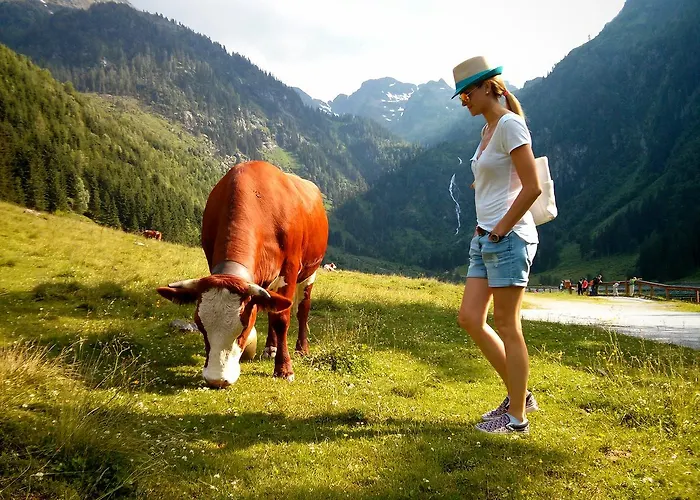 Nocleg ze śniadaniem Ridehouse